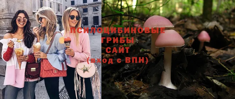 Галлюциногенные грибы Psilocybe  Карабаново 